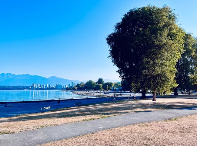 Live in the Heart of Kitsilano