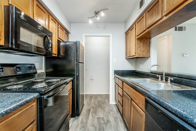 Photo - The Park at Hollyford