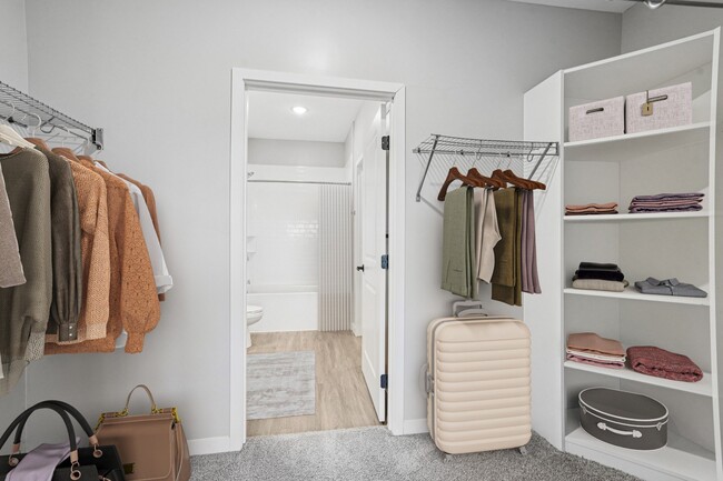 Rainy | 1 Bedroom