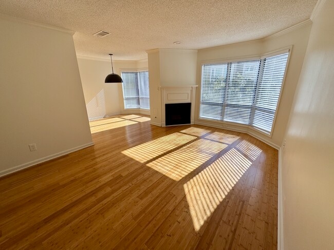 sunny living room with view into dining room - 209 14th St. NE #119 Unit 209 14th St. NE #119