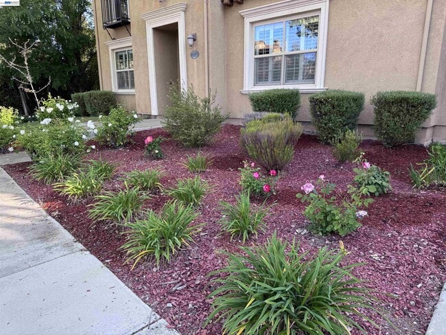 Photo - 7875 Kennard Ln