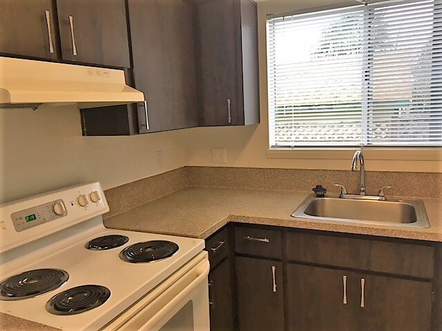 Photo - Typres Gardens