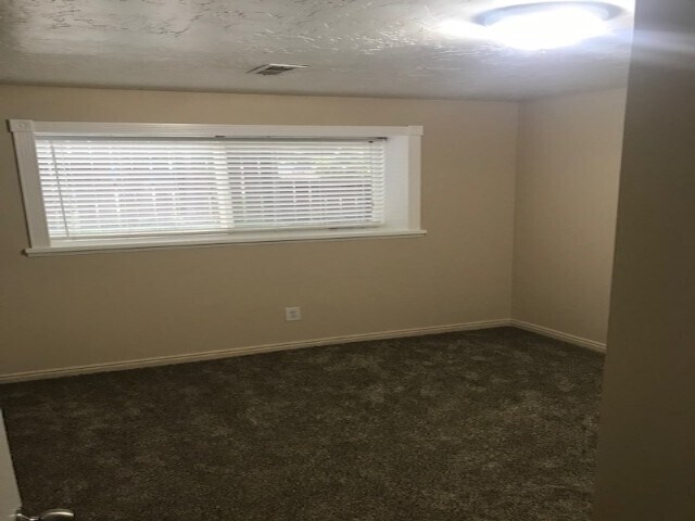 Photo - 247 W Downs Cir