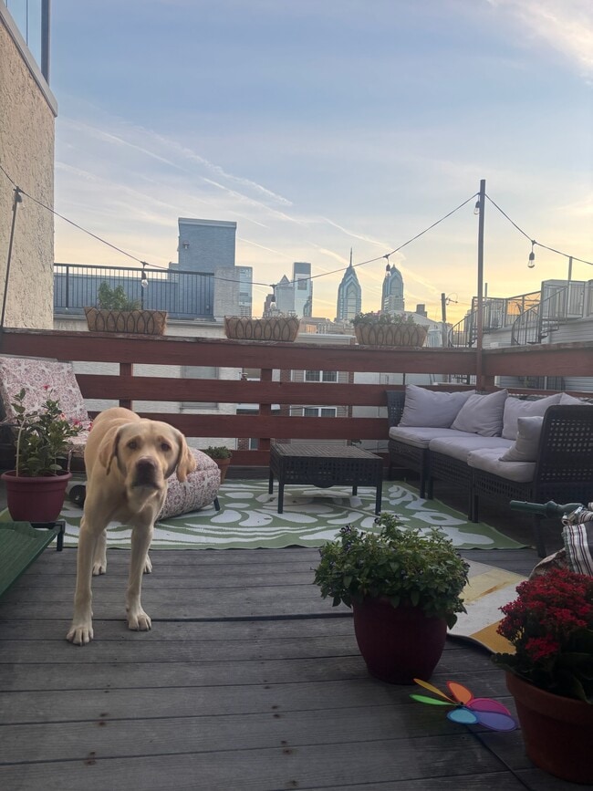 Photo - 1909 Christian St Unit 1909 Christian Street, Apt C