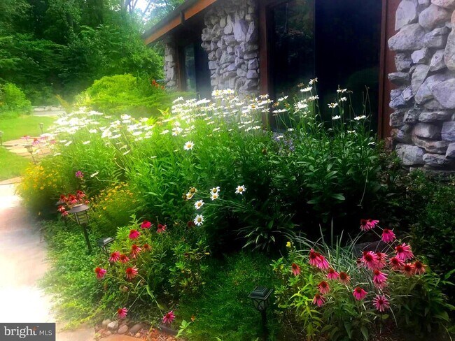 Photo - 10809 Nicholsridge Rd