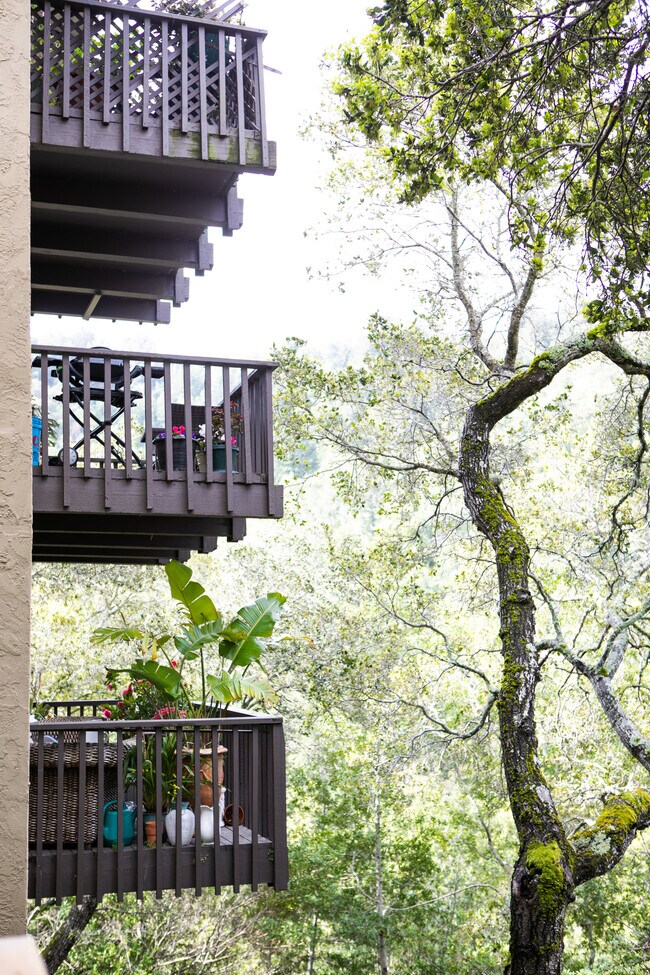 Skylark Apartments For Rent in Larkspur, CA