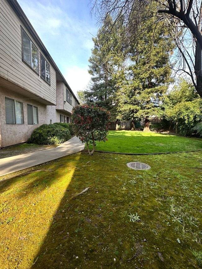 Photo - AMG Townhomes