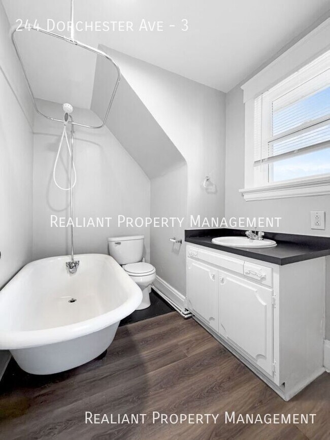 Photo - 244 Dorchester Ave Unit 3