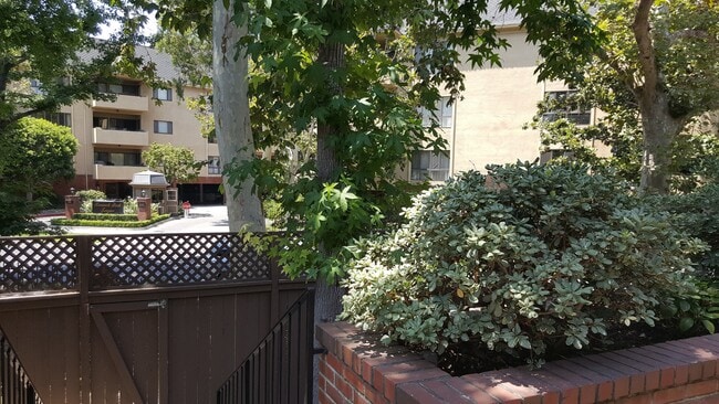View to Street (From front door) - 638 Wilcox Ave