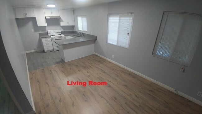 Living_Room - 809 Brent Ave Apartments Unit B - 2nd Floor