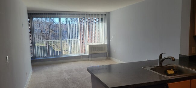 800 4th St SW Unit N307