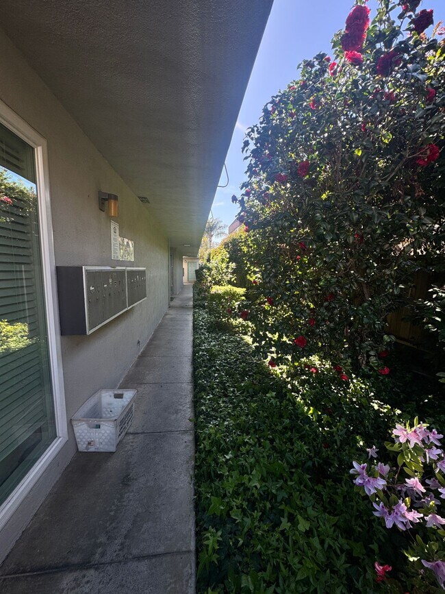 Photo - 4327 Inglewood Blvd