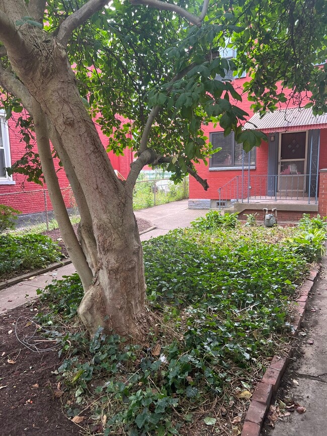 Photo - 2206 Sarah St