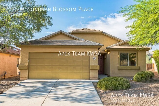 $1,995 Beautiful Home in Sonoran Blossom N... - $1,995 Beautiful Home in Sonoran Blossom N...