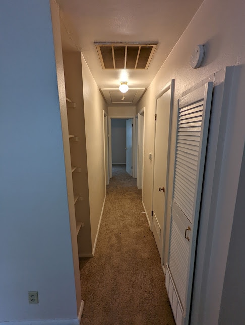 Photo - 1505 Holly Hill Dr