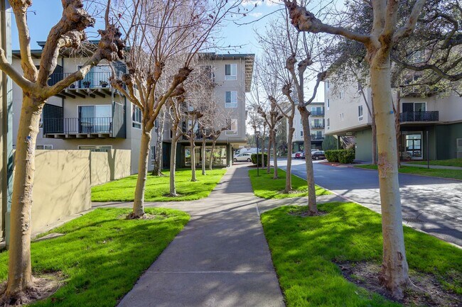 Photo - 1 Bed / 1 Bath pet friendly condo with parking in beautiful San Mateo. YouTube Tour! Unit 301