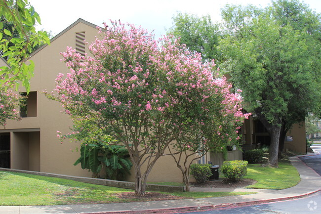 Building Photo - Woods of Brookhollow Rental