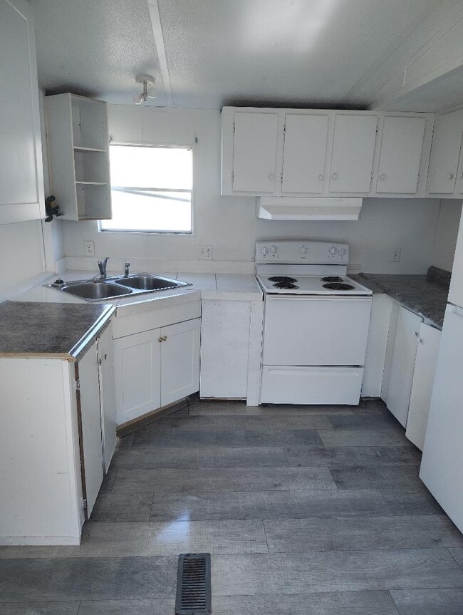 Photo - Scattered Oaks