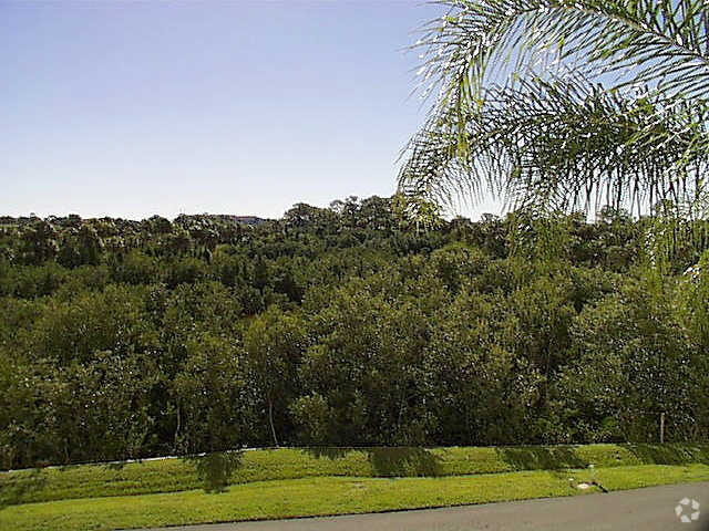 View - Landings at Sea Forest