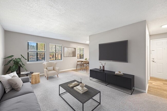 Photo - Spring Forest