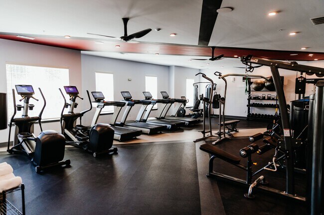 Vista Fitness Center - Vista Starkville | Student Housing
