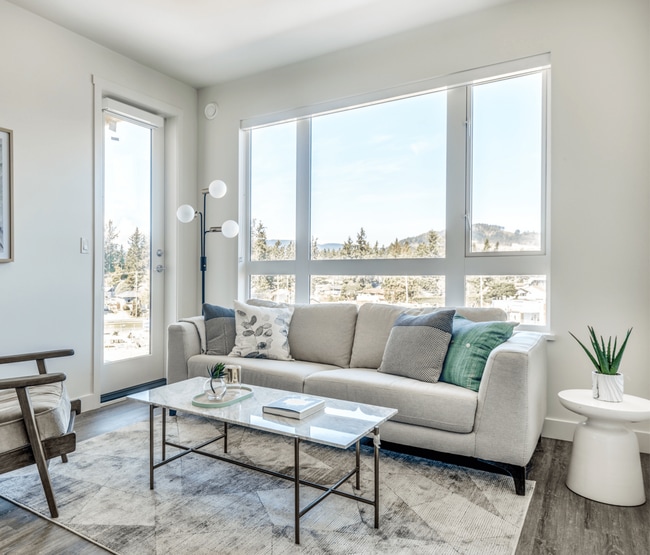 Photo - Crossing at Belmont