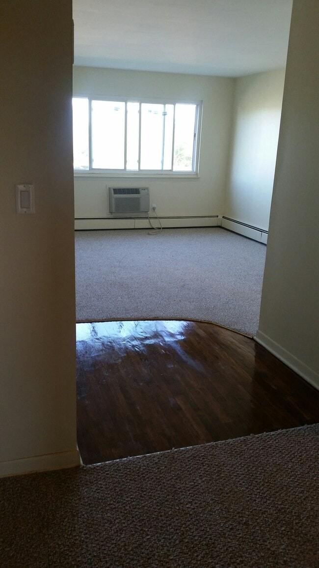 Entrance/Living room