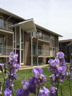 Village Shore Apartments - Village Shore Apartments