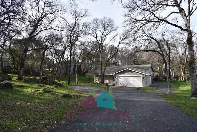 Photo - 14116 Lodgepole Dr