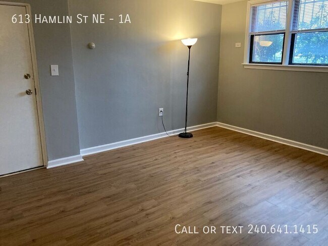 613 Hamlin St NE