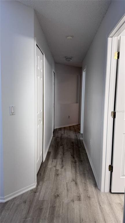 Photo - 1804 Palmetto Pine Ln