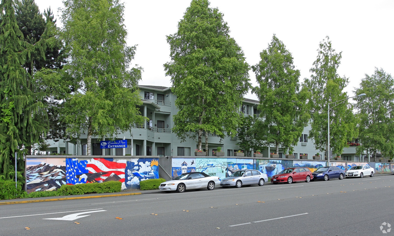 Photo - Solista Everett