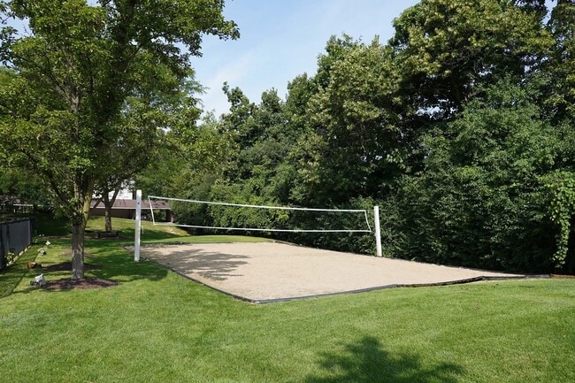 Cancha de vóleibol de playa