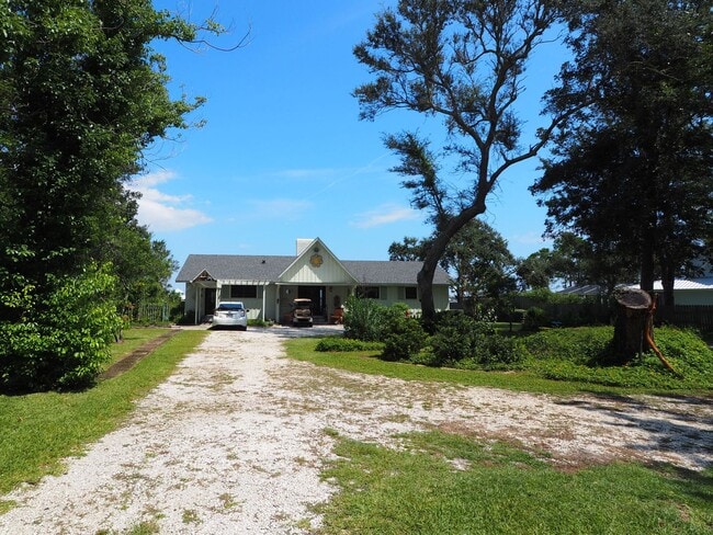 Photo - Dolphin watching from your own private beach!