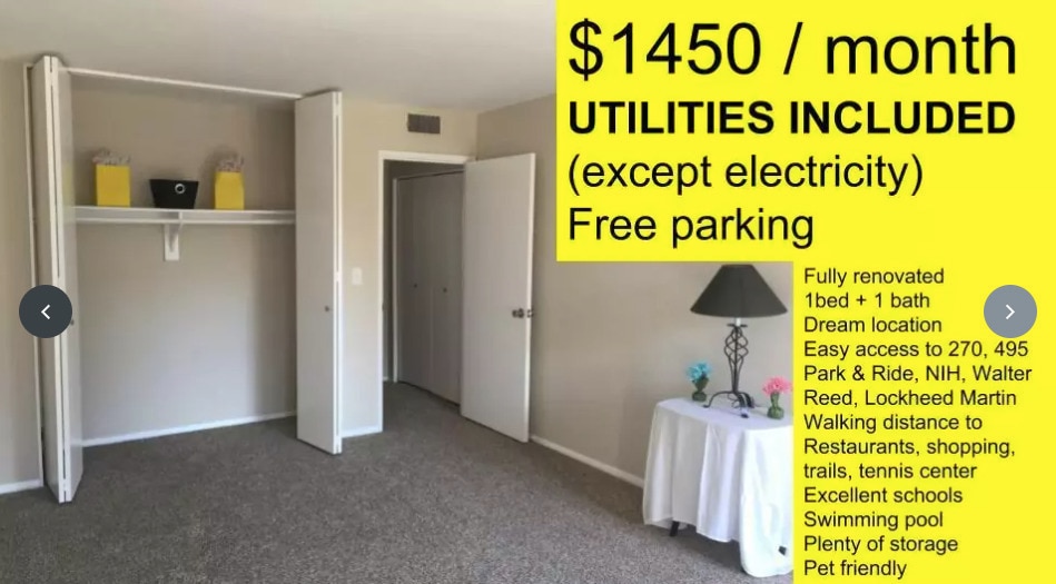 Apartments completamente renovados de 1 baño + 1 cama - 7501 Spring Lake Dr Rental