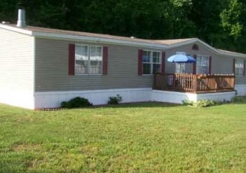 Autumn Forest - Autumn Forest