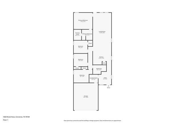 Photo - 1850 Musk Rose