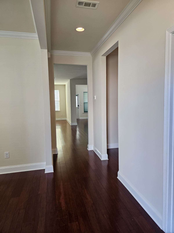 Photo - 1162 Amelia Park Dr