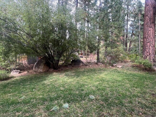 Photo - Peaceful Retreat In The Center Of Town