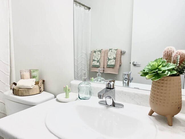 Cadence Apartment Homes
