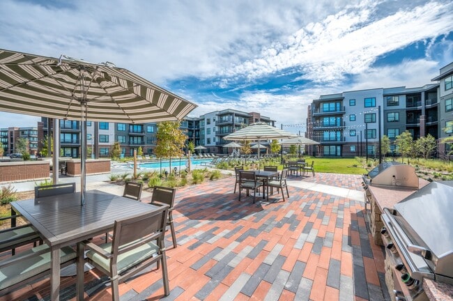 Photo - Starling At Bridgeland