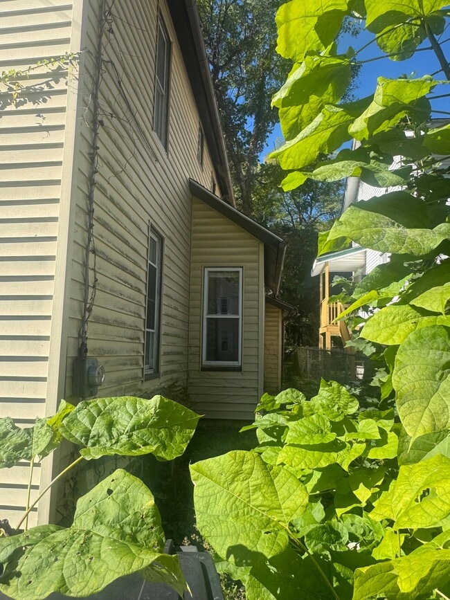 Photo - 360 Turner St