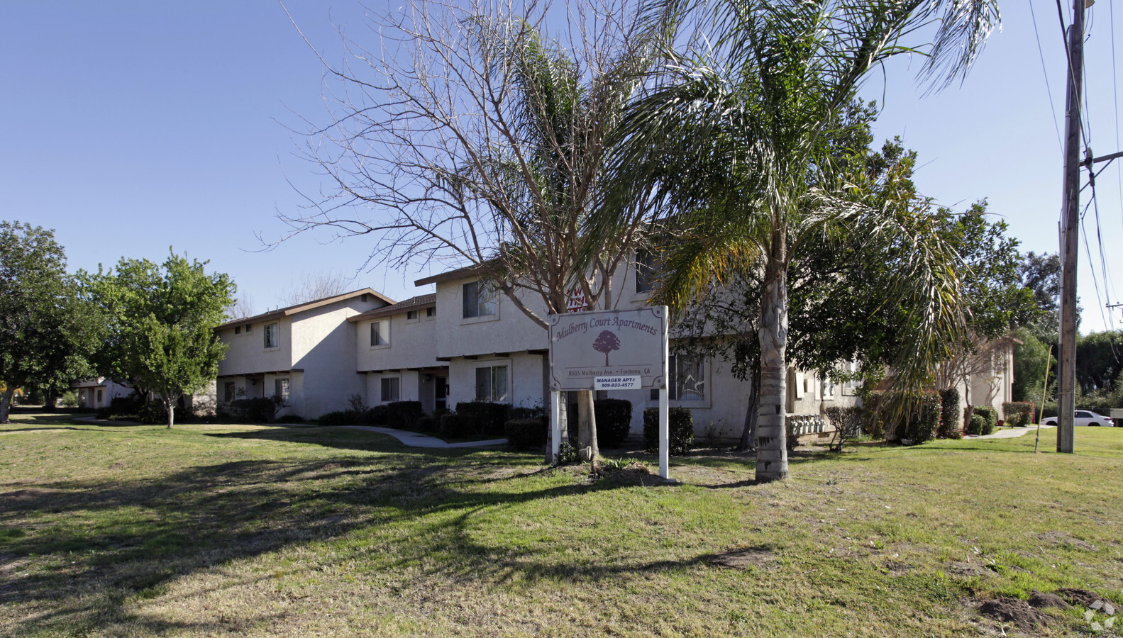 Photo - Mulberry Court Apartments