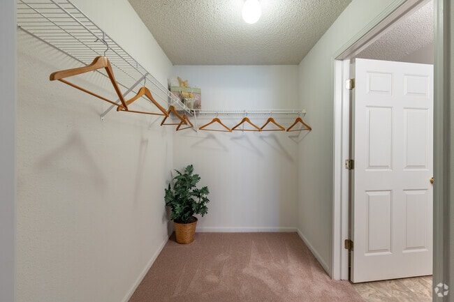 Master walk in closet