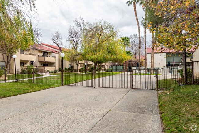 Photo - Willows by Riva Park