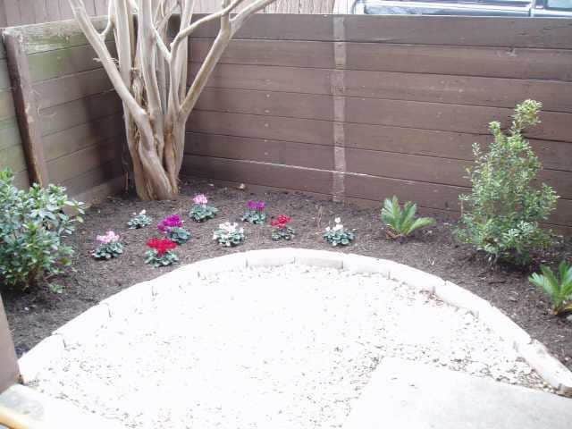 Photo - 4409 W Guadalupe St Unit 3