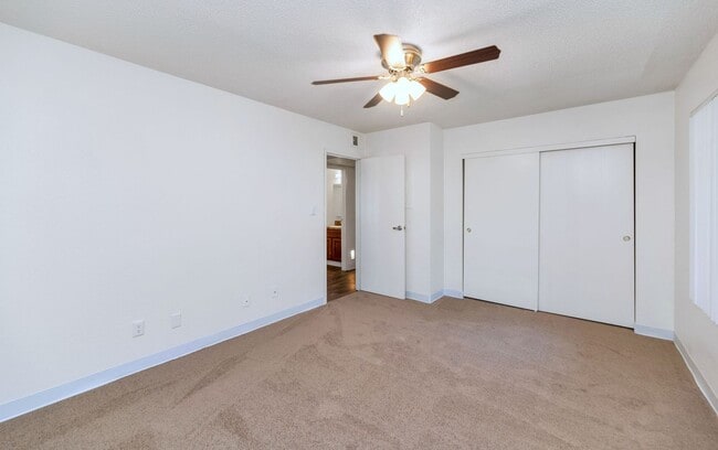 Photo - Sahara and Playa Palms