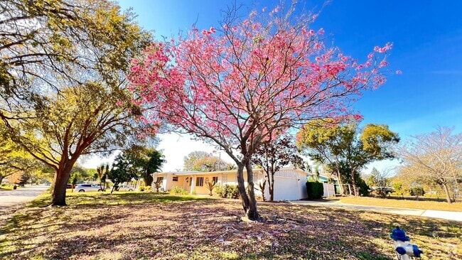 Building Photo - 1516 Dove Dr Rental