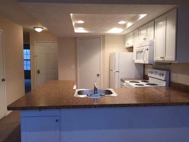 1 BR kitchen - remodeled