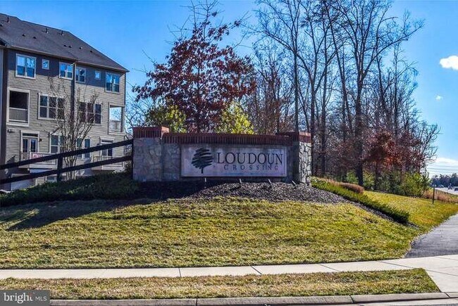 Photo - 25291 Gray Poplar Terrace Unit 25291